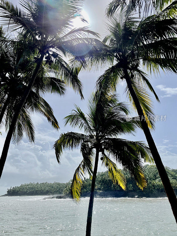 « Îles du salut » in French Guiana
